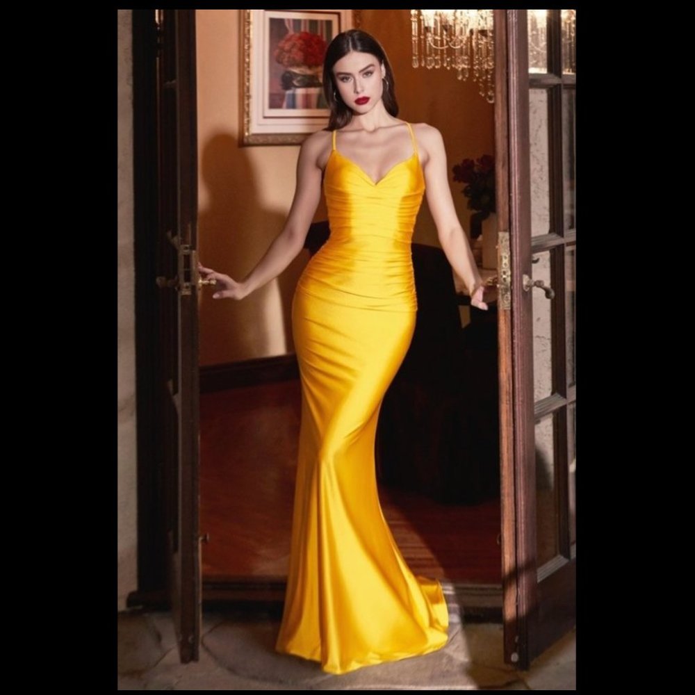 Yellow formal backless Gown (Brand NEW)